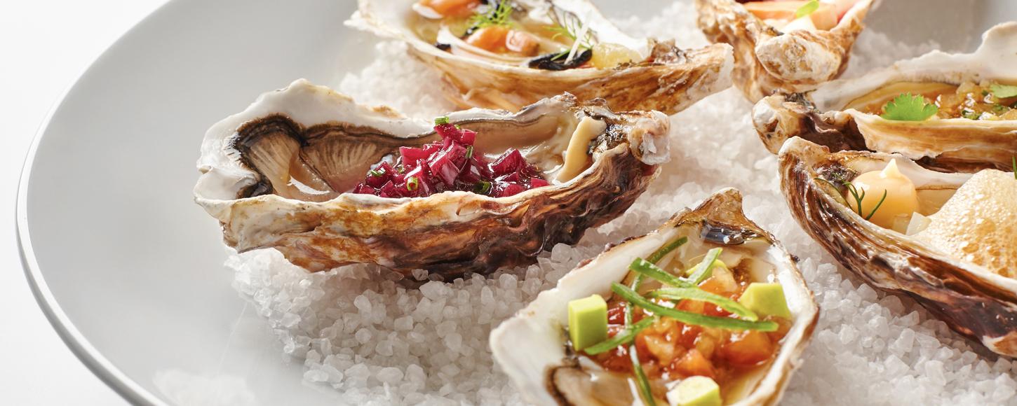 Yacht Charter Preferences review